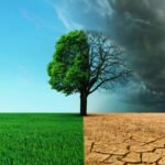climate-jd